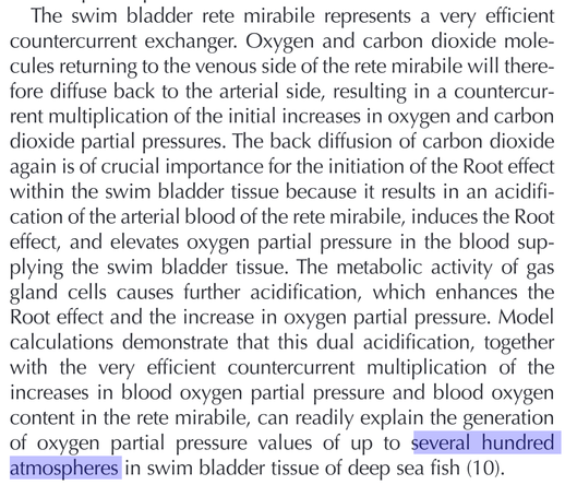 The swim bladder rete mirabile represents a very efficientcountercurrent exchanger. Oxygen and carbon dioxide mole-cules returning to the venous side of the rete mirabile will there-fore diffuse back to the arterial side, resulting in a countercur-rent multiplication of the initial increases in oxygen and carbondioxide partial pressures. The back diffusion of carbon dioxideagain is of crucial importance for the initiation of the Root effectwithin the swim bladder tissue because it results in an…