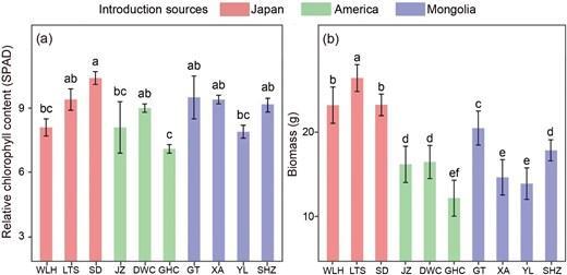 (a) Relative chlorophyll content and (b) biomass of Xanthium italicum without nitrogen addition.