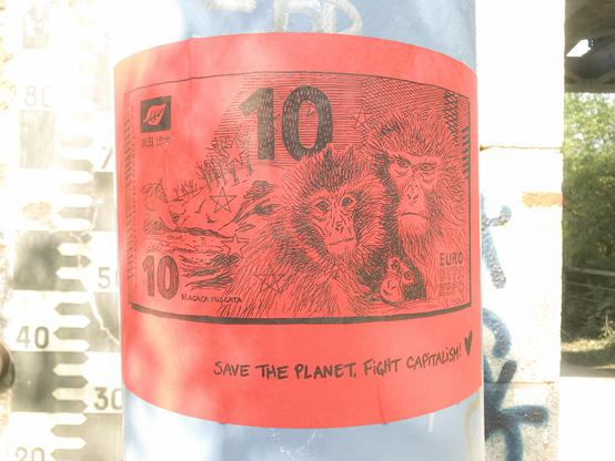 10€, Macaque japonais
