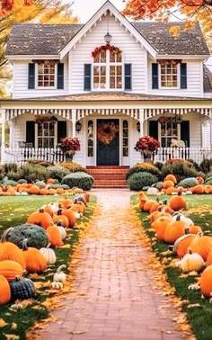 A beautiful white house with a fancy porch!*& It has a long walkway to the front of the porch lined with gorgeous autumn things on both sides of the walk like colorful pumpkins!*gourds!*leaves!*& Fall flowers!