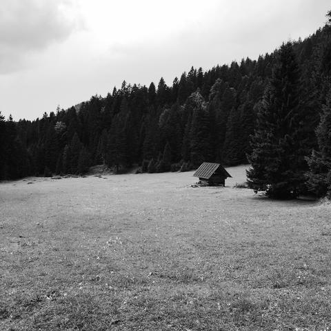 Un grande prato in montagna con una casetta al bordo e grandi abeti tutto intorno