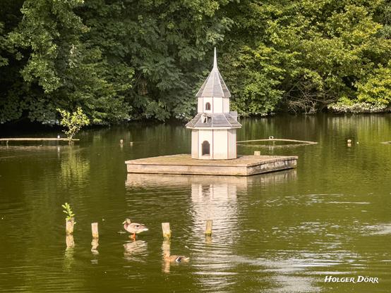 Im Schlosspark Laubach spiegelt sich ein kleines Turmhaus auf dem Ententeich. Zwei Enten verweilen auf hölzernen Pfählen, während das satte Grün der Bäume die Szenerie einrahmt. Eine friedvolle, fast märchenhafte Stimmung liegt über dem stillen Wasser.