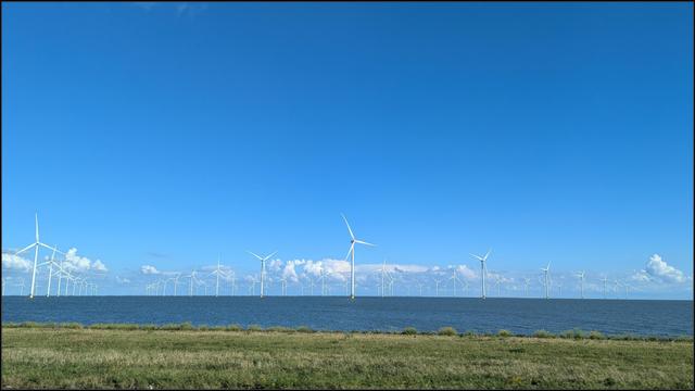 A wide view of the IJsselmeer (IJssel lake) under blue skies. Just above the horizon the sky is dotted with fluffy clouds. There are rows upon rows of white wind turbines rising from the water. There is also grass in the foreground.