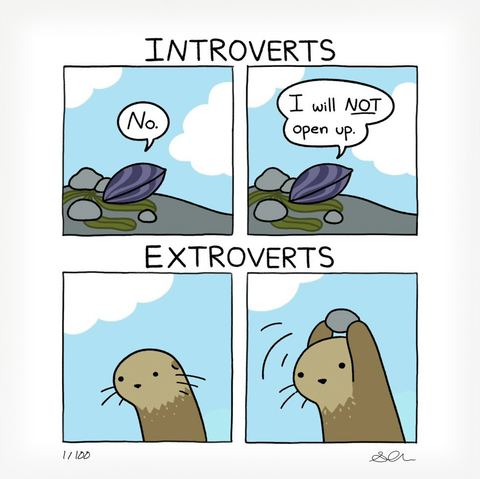 INTROVERTS: A clams says, “No. I will NOT open up.” EXTROVERTS: An otter raises a rock overhead, about to bash the clam. Credit: Sarah’s Scribbles.