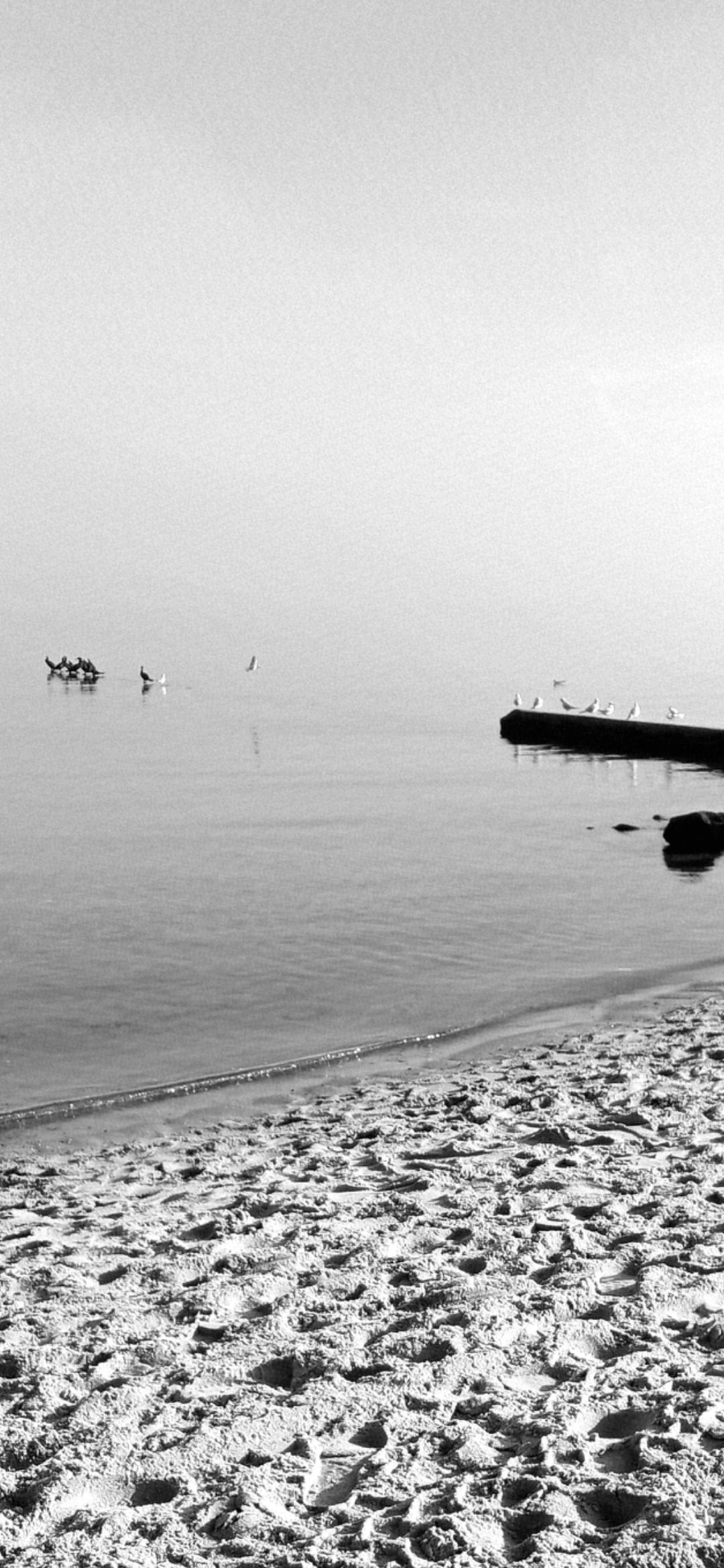 Vom Sandstrand aus blickt man auf ruhiges Wasser. Im rechten oberen Bildrand ragen Wellenbrecher, auf denen Wasservögel sitzen ins Bild. Auch weiter oben schwimmen Wasservögel und lassen erahnen, wo der unsichtbare Horizont verläuft. Vom Sandstrand aus blickt man auf ruhiges Wasser. Im rechten oberen Bildrand ragen Wellenbrecher, auf denen Wasservögel sitzen ins Bild. Auch weiter oben schwimmen Wasservögel und lassen erahnen, wo der unsichtbare Horizont verläuft.