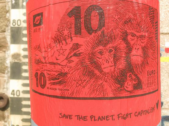 10€, Macaque japonais