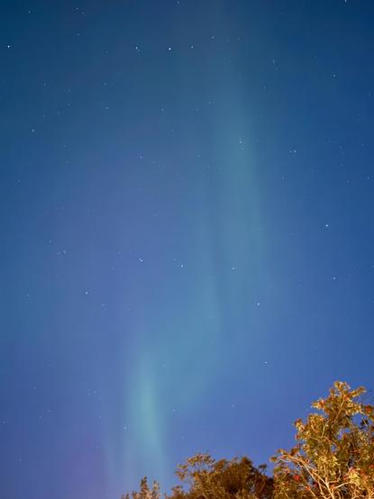 Faint green northern lights can be seen with the Big Dipper from Vesturbæjar 