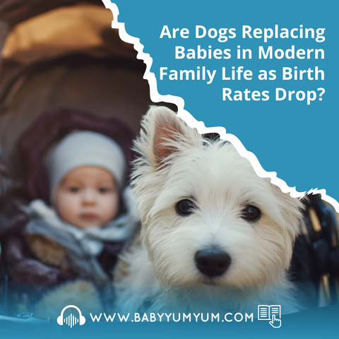 Are dogs becoming the new babies 👶❓🐾 With birth rates dropping and pet ownership rising more young couples are swapping nappies for chew toys. From Insta worthy dog parties to designer pet gear the shift is real.