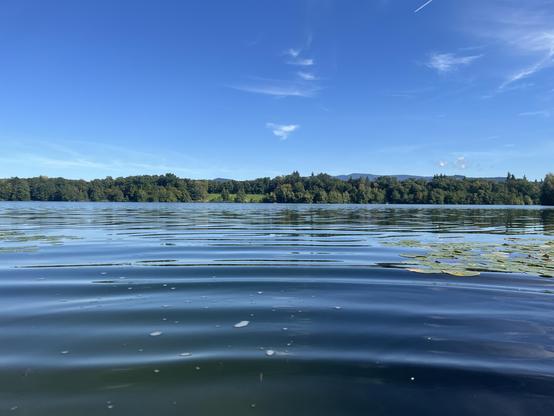 Sehr blaues Bild aus einem Baggersee - oben blauer Himmel mit Federwolken, unten das tiefblaue Wasser mit Wellen, einige Seerosenblätter. Am Horizont Bäume, die schon ins Herbstgrün wechseln.