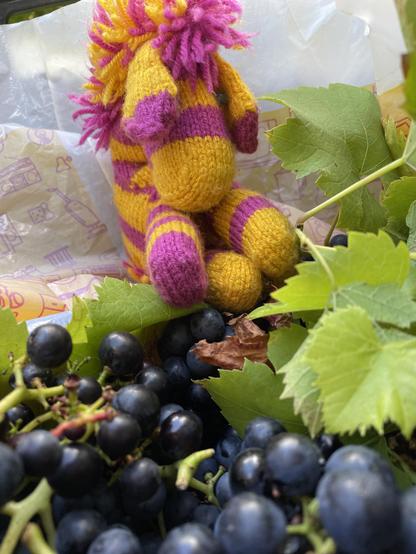 gestricktes gelb-violettes Plüschie-Zebra sitzt in einer Plastiktüte mit roten Trauben