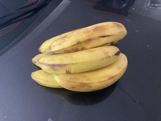 Bananas all fucked up after the trip home in the back of a milk crate on a bike.