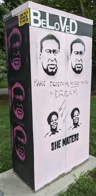 An electrical box painted for BLM.