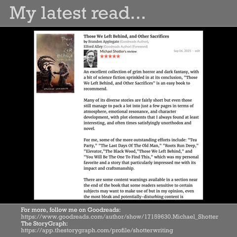 An excerpt from Michael Shotter's review of the book "Those We Left Behind, and Other Sacrifices" by Brandon Applegate