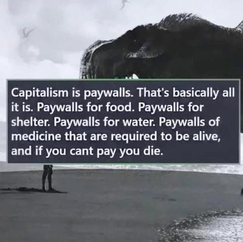Capitalism is paywalls. 

That's basically all it is. 

Paywalls for food. 

Paywalls for shelter.

Paywalls for water. 

Paywalls for medicines that are required to be alive, and if you cant pay you die.
