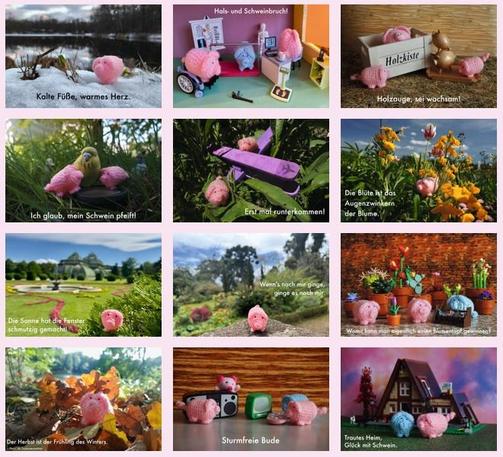 Die zwölf Monatsmotive des haekelschwein-Kalenders