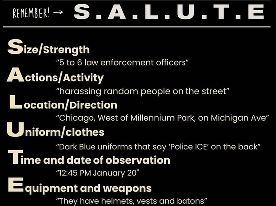 REMEMBER!
S.A.L.U.T.E

Size/Strength
"5 to 6 law enforcement officers"

Actions/Activity
"harassing random people on the street"

Location/Direction
"Chicago, West of Millennium Park, on Michigan Ave"

Uniform/clothes
"Dark Blue uniforms that say 'Police ICE' on the back”

Time and date of observation
"12:45 PM January 20"

Equipment and weapons
"They have helmets, vests and batons"