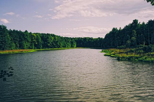 We're looking at a long pond with ripples and dark green trees on both sides and a greyish blue sky with a few white clouds.