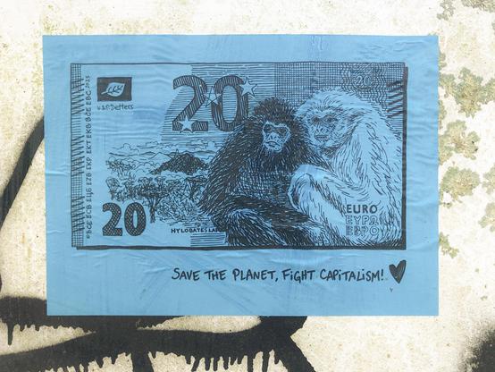 20€, Gibbon
