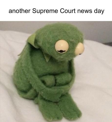 Text: another Supreme Court news day

Image: sad Kermit the frog doll