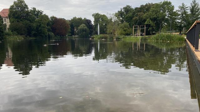 Eine Schaukel hinter einem See. Auf dem See ist eine Fontäne. Am Rand sieht man das Geländer eines Stegs. Der See wird von viel Grün umgeben.