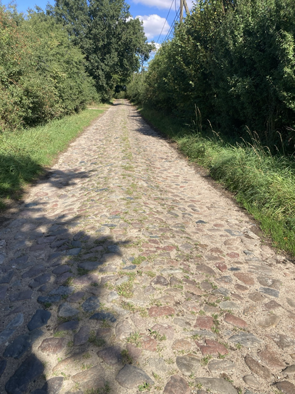 Gerade mit Felssteinen gepflasterte Straße, einspurig, Sonnenschein und grüne Pflanzen
