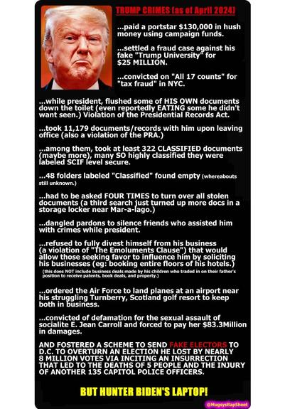 This long list of Trump crimes is already well over a year old, and more than tripled since his reelection.