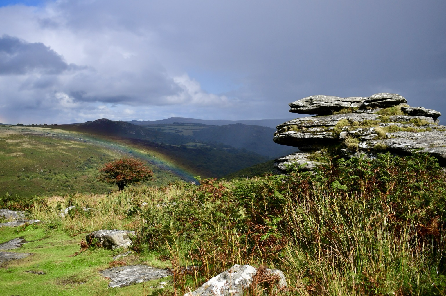 Rainbow and tor 
