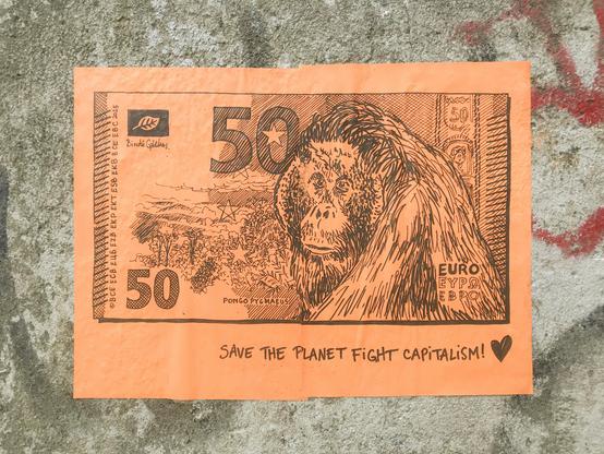 50€, Orang Outan