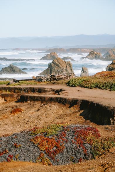 A panoramic view of rocky coastline with vibrant succulents, waves rolling in, and distant hills under a bright sky.