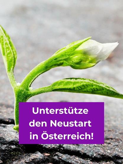 Pflanze aus Asphalt mit Schriftzug: Unterstütze den Neustart in Österreich!