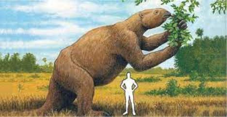 Artist's rendition of a Giant Ground Sloth feeding on a tree. A figure of a man is shown for size comparison and the sloth towers over it.
