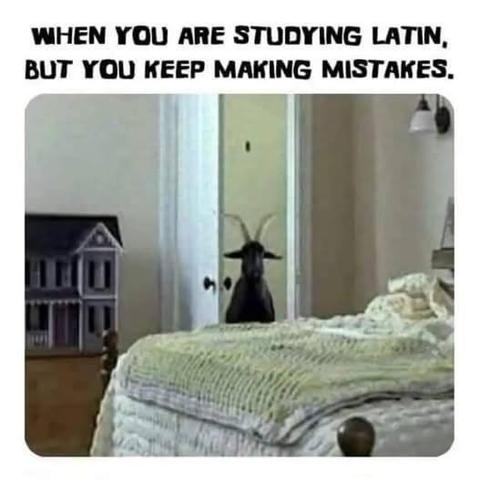 PHOTO: A black ram entering a bedroom.

CAPTION: When you are studying Latin but you keep making mistakes.