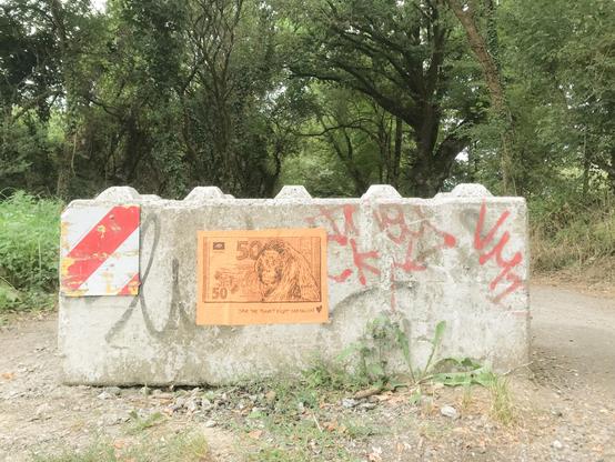 bloc béton, 50€, Orang-Outan