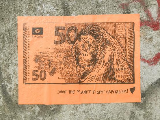 50€, Orang-Outan
