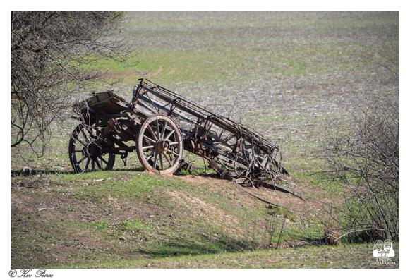 A dilapidated wooden wagon with large spoked wheels sits abandoned on a grassy incline.

The wagon is weathered and appears to be falling apart. In the background is a large, open field with patches of green. 

The scene evokes a sense of history and decay.