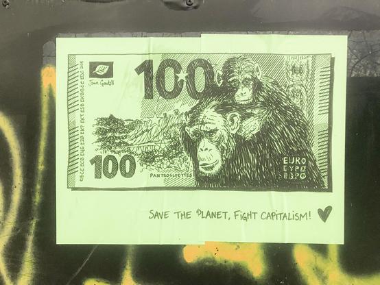 100€, chimpanzé