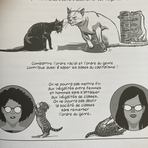 Photo de la fin de la Bd « le genre du capital », dessins en noir et blanc d’un chat blanc en pleine santé qui tire sa gamelle pleine de croquette vers lui alors qu’un chat noir maigre approche. Le texte dit « combattre l’ordre racial et l’ordre du genre contribue aussi à saper les bases du capitalisme! »
