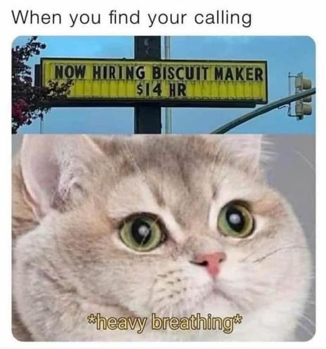 Text at top: When you find your calling. A business hiring sign below their logo sign outside: Now hiring biscuit maker $14 HR A gray cat (possibly British shorthair?) with wide eyes with the text "heavy breathing."