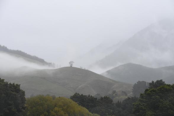 Plusieurs hautes collines disparaissent dans la brume tandis qu'un arbre solitaire se dresse, au loin, sur l'une d'entre elles
