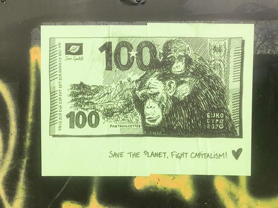 100€, chimpanzé