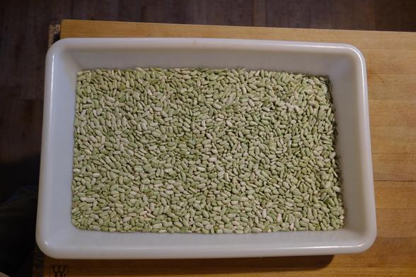 Bac plein de flageolets secs