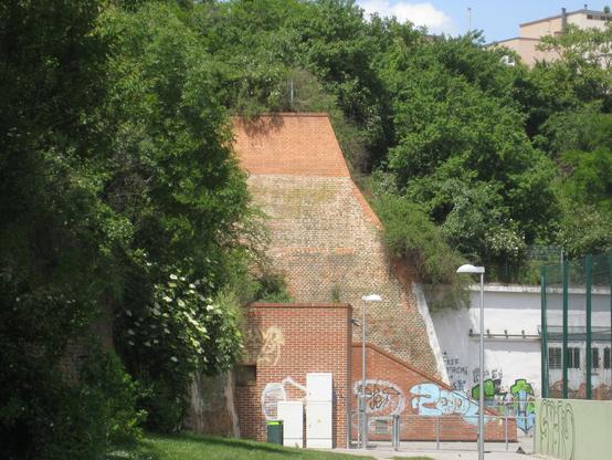 Der Rest des Linienwalls am Donauprallhang