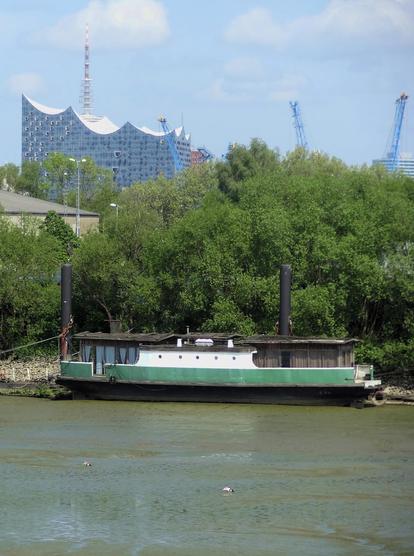 Ein altes Hausboot im Hamburger Spreehafen bei Ebbe. Im Hintergrund sind die Elbphilharmonie und der Fernsehturm zu sehen, im Vordergrund zwei Brandgänse bei der Futtersuche im Schlick.