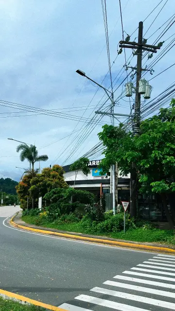 Photo of a Starbucks hidden behind a canopy of trees and foliage, with a network of criss-crossing power lines overhead.