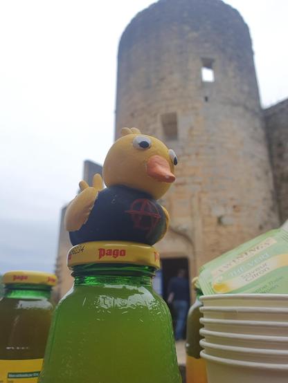 Photo en gros plan d'une petite figurine de canard portant un t-shirt noir avec un A cerclé rouge. En fond le château.