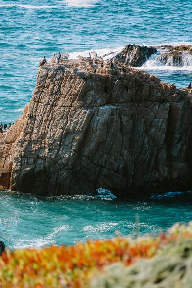 A rugged rock formation surrounded by turquoise waters, with birds perched on top against a clear sky.