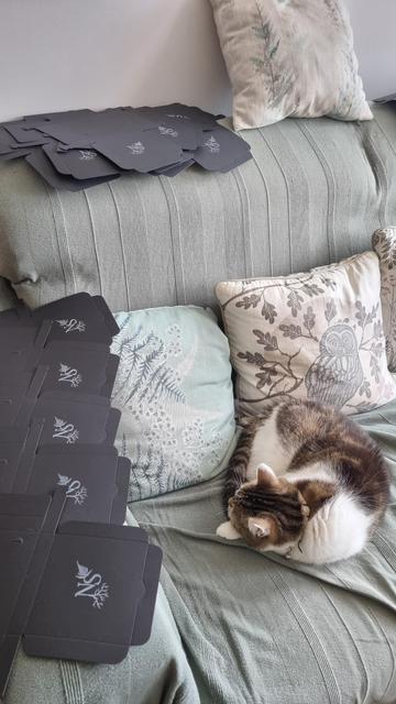 English On a sofa, there are black cardboard boxes that have not yet been assembled, with a white NS logo. There is a cat sleeping next to them and forest-themed cushions.
Français Sur un canapé, des boîtes en carton noir pas encore montées avec un logo blanc NS. Il y a un chat qui dort à côté et des coussins sur le thème de la forêt.