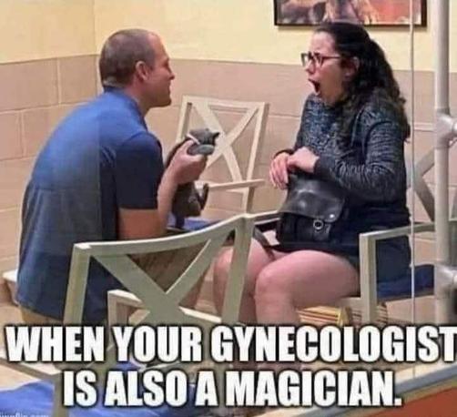 a guy showing his girl a kitten and she is mouth wide shocked excited

[when your gynecologist is also a magician]