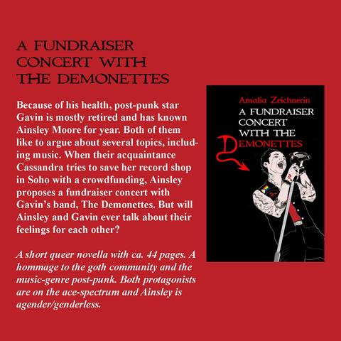 A Fundraiser Concert with the Demonettes.
The blurb of the novella, a short description and the bookcover with an illustration of the protagonist Gavin.