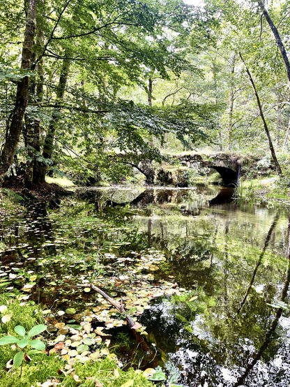 Rivière où se reflètent les arbres autour, et pont de pierre à deux arches et un bec